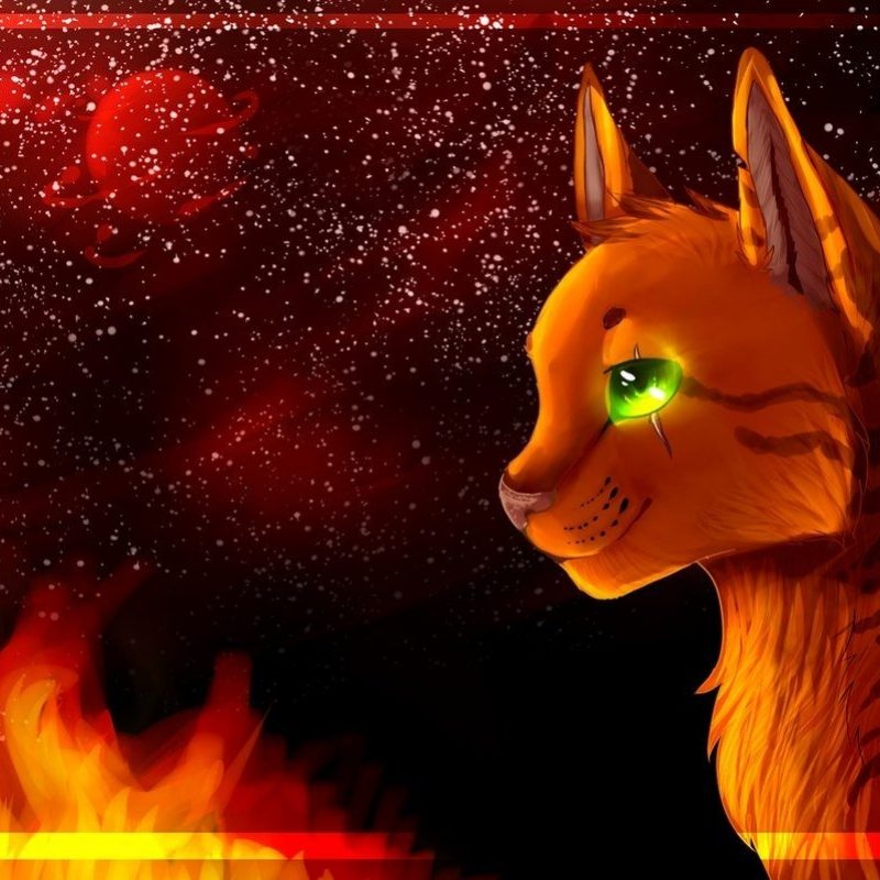 10 Most Popular Warrior Cats Wallpaper Firestar FULL HD 1080p For PC Background 2022 free download warrior cats firestar quotes quotesgram warriors pinterest 800x800