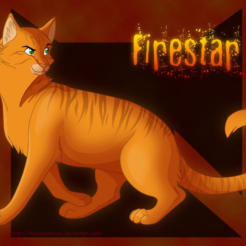 10 Most Popular Warrior Cats Wallpaper Firestar FULL HD 1080p For PC Background 2022 free download warriors firestarnatamesecrea on deviantart 800x800