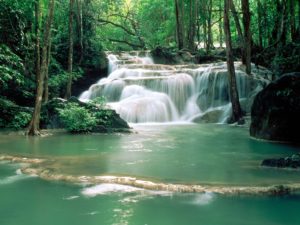 waterfall wallpaper wallpapers for free download about (3,013