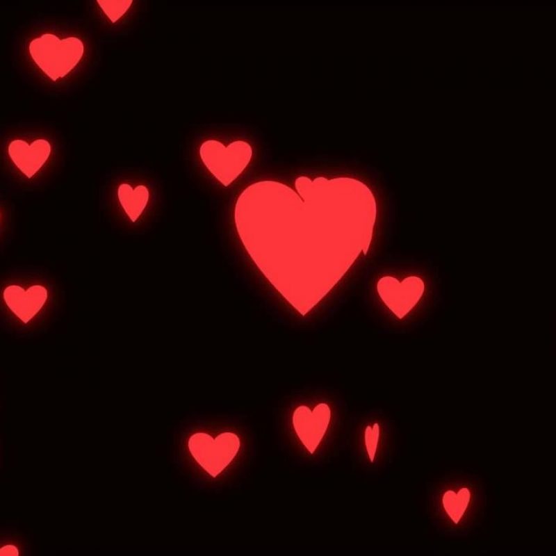10 Best Heart With Black Background FULL HD 1920×1080 For PC Background 2024 free download wedding loop glowing spinning hearts on black background youtube 800x800