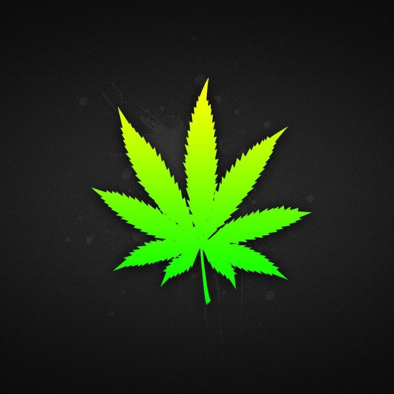 10 New Weed Leaf Wallpaper Hd FULL HD 1080p For PC Desktop 2023 free download weed leaf wallpapers hd weed pinterest 1 800x800