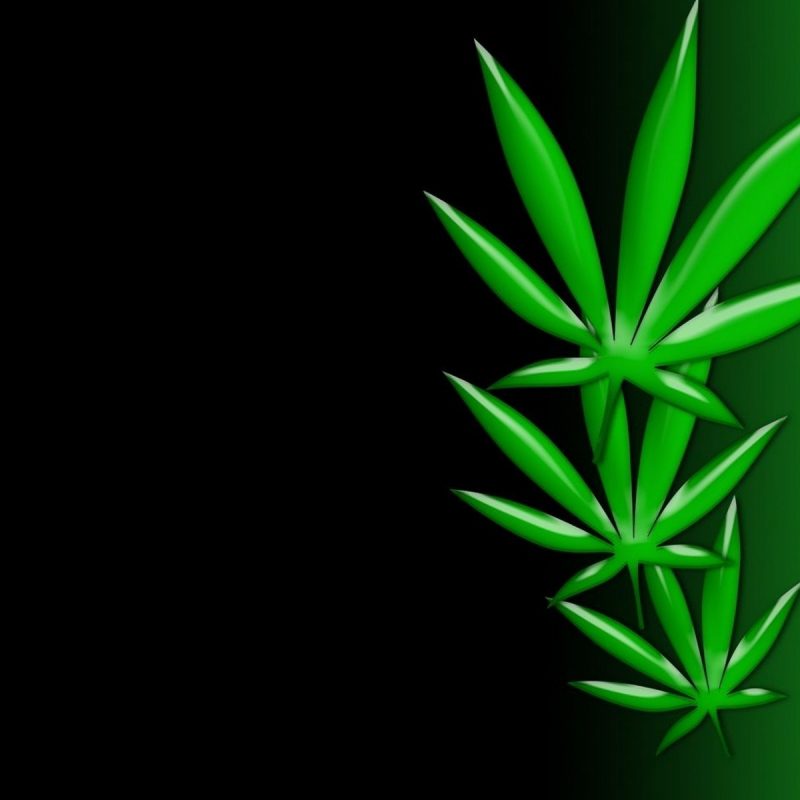 10 New Weed Leaf Wallpaper Hd FULL HD 1080p For PC Desktop 2023 free download weed poster wallpaper art weedpad wallpapers 800x800