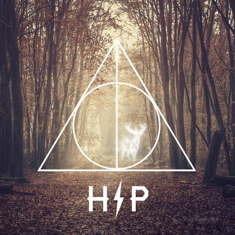10 Most Popular Harry Potter Computer Backgrounds FULL HD 1080p For PC Background 2022 free download what is your favorite harry potter wallpaper harrypotter 800x800