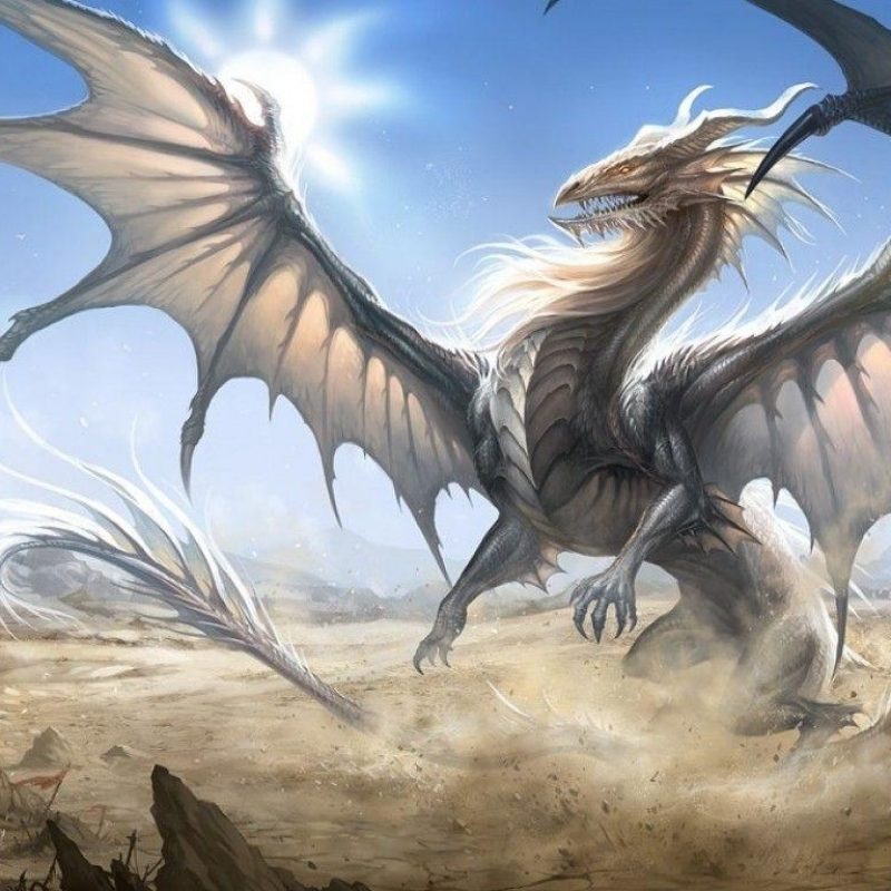 10 Top White Dragon Wallpaper Hd FULL HD 1920×1080 For PC Background 2022 free download white dragon wallpapers wallpaper cave 800x800
