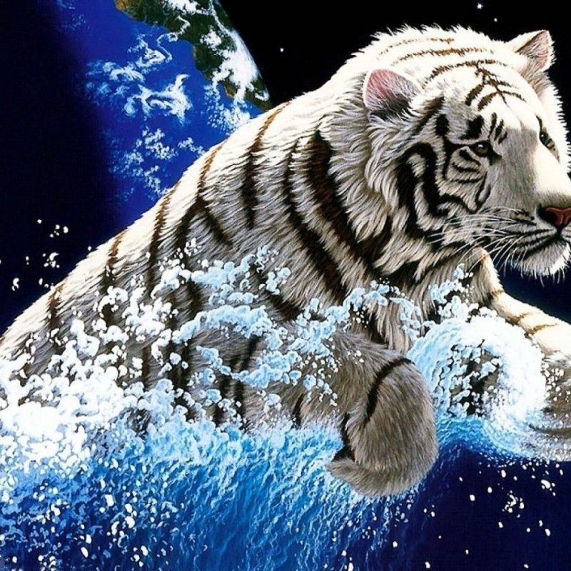 10 New White Tiger Wallpaper 3D FULL HD 1920×1080 For PC Desktop 2023 free download white tiger archives wallpapers points 1440x900 white tigers 800x800
