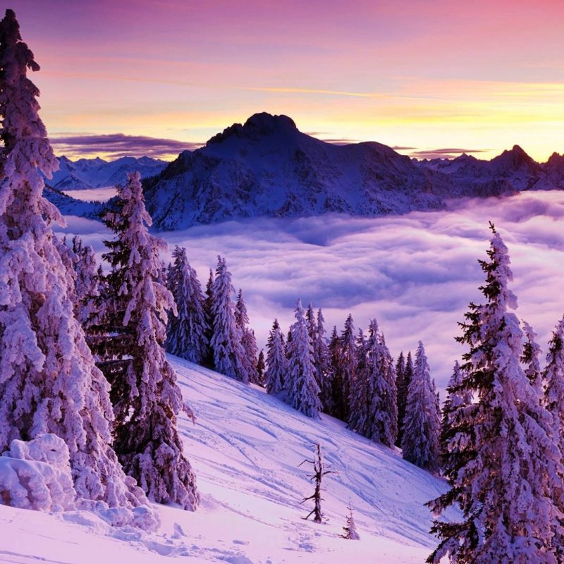 10 Most Popular Winter Landscape Desktop Wallpaper FULL HD 1080p For PC Background 2022 free download winter landscape wallpapers wallpaper cave 800x800