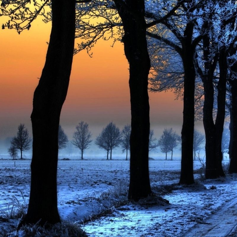 10 Most Popular Winter Landscape Desktop Wallpaper FULL HD 1080p For PC Background 2022 free download winter landscape with orange sky e29da4 4k hd desktop wallpaper for 4k 1 800x800