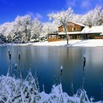 winter nature scenes wallpapers for free download about (1,539