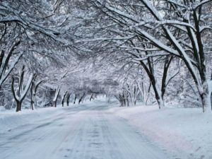 winter snow scenes | winter nature snow scene | winter scenes