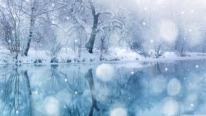 winter snowfall ❤ 4k hd desktop wallpaper for 4k ultra hd tv • dual