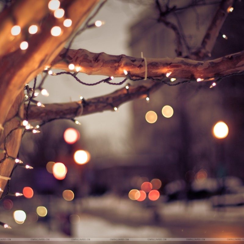 10 Best Winter Christmas Lights Wallpaper FULL HD 1920×1080 For PC Desktop 2022 free download winter tree lights christmas wallpaper christmas hd wallpapers 800x800