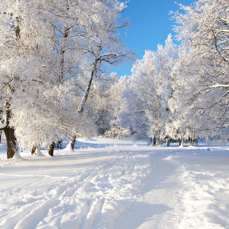 10 New Free Winter Screensaver Pictures FULL HD 1920×1080 For PC Background 2022 free download winter wallpaper for computer full screen 39 images 800x800