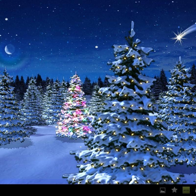 10 New Winter Wonderland Screensavers Free FULL HD 1080p For PC Desktop 2023 free download winter wonderland christmas screensaver festival collections 800x800