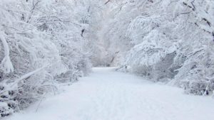 winter wonderland desktop backgrounds - wallpaper cave