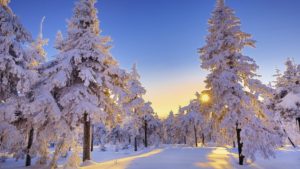 winter wonderland desktop backgrounds - wallpaper cave