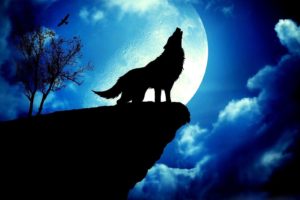 wolf howling at the moon wallpapers - wallpaper cave