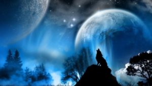 wolf howling at the moon wallpapers - wallpaper cave