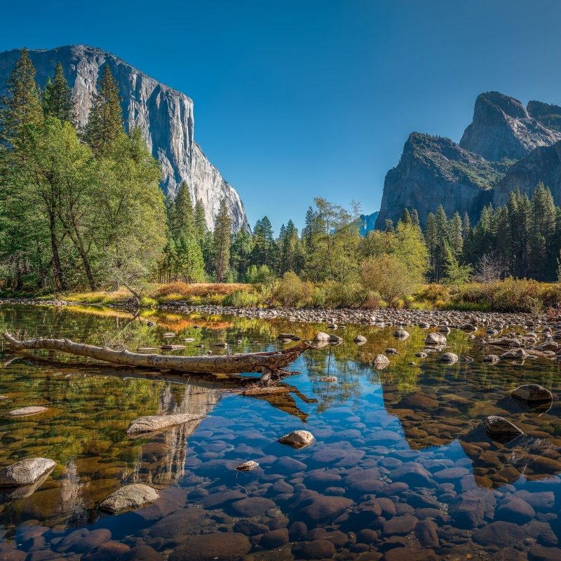10 Best Yosemite National Park Wallpapers FULL HD 1920×1080 For PC Background 2022 free download yosemite national park 9 wallpaper nature wallpapers 39265 800x800