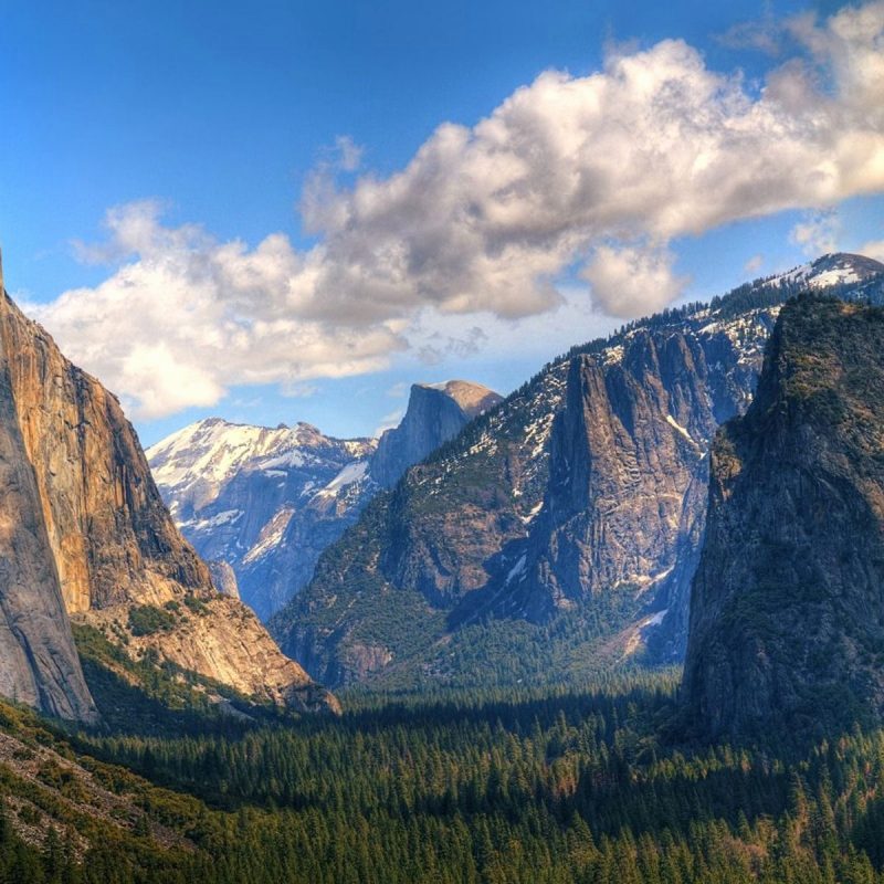 10 Best Yosemite National Park Wallpapers FULL HD 1920×1080 For PC Background 2024 free download yosemite national park wallpaper fresh yosemite national park 800x800